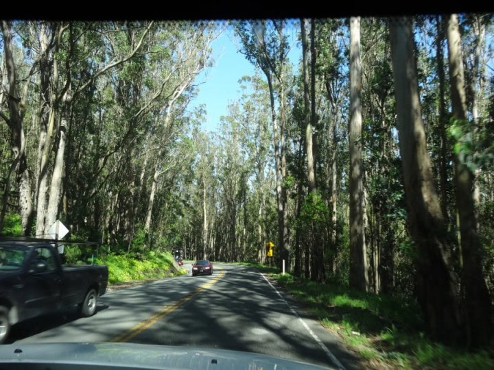 Medlemsrecension: Mot San Fransisco - å lite Milesrun med BAEC - 39