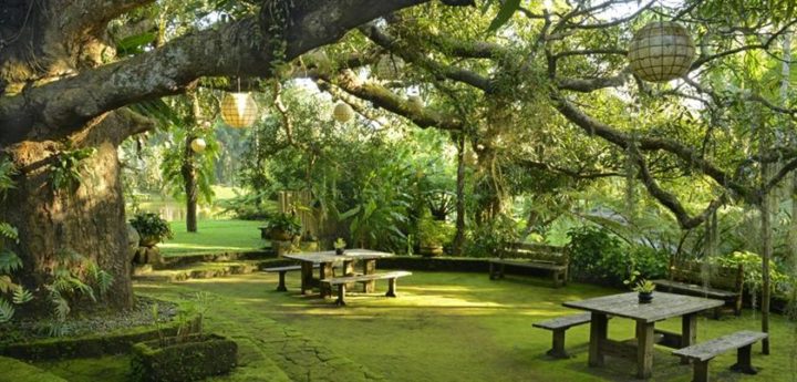 Renowned Filipino wellness and healing resort joins Luxury Hotels Group - 4