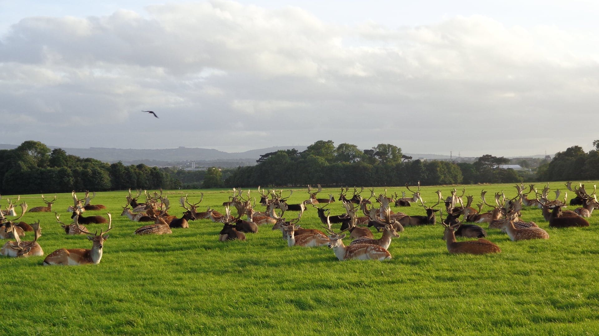 Destinations Articles - Dublin Travel Guide