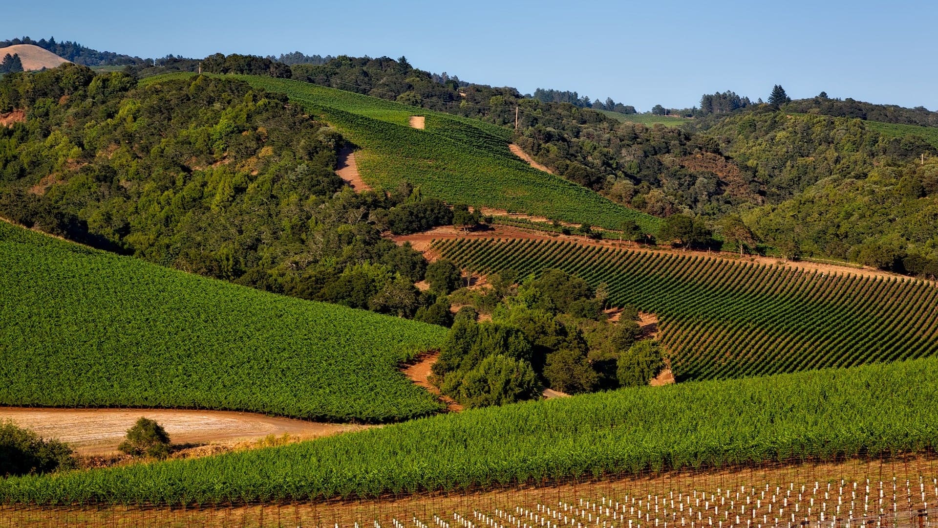 Hotels News - Hyatt Announces The Opening Of Its 1,000th Hotel