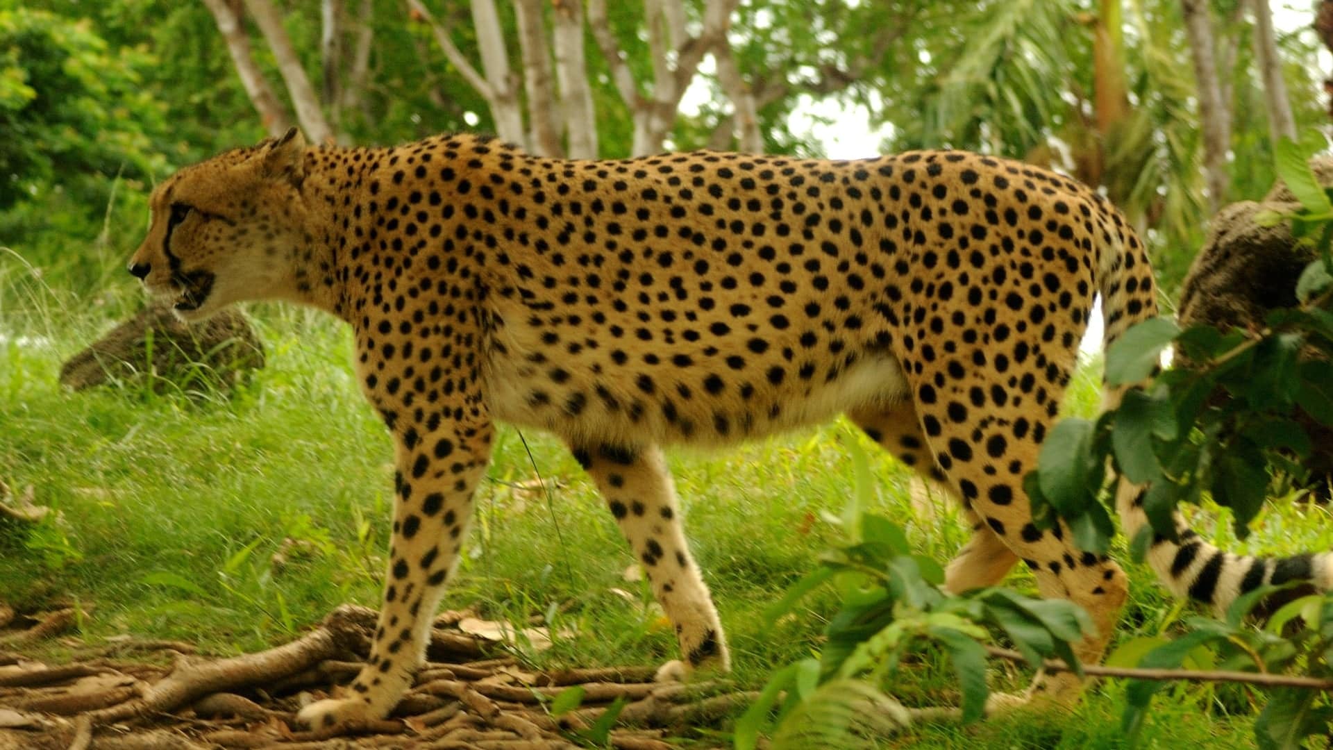 Destinations Articles - Hawaii Travel Guide