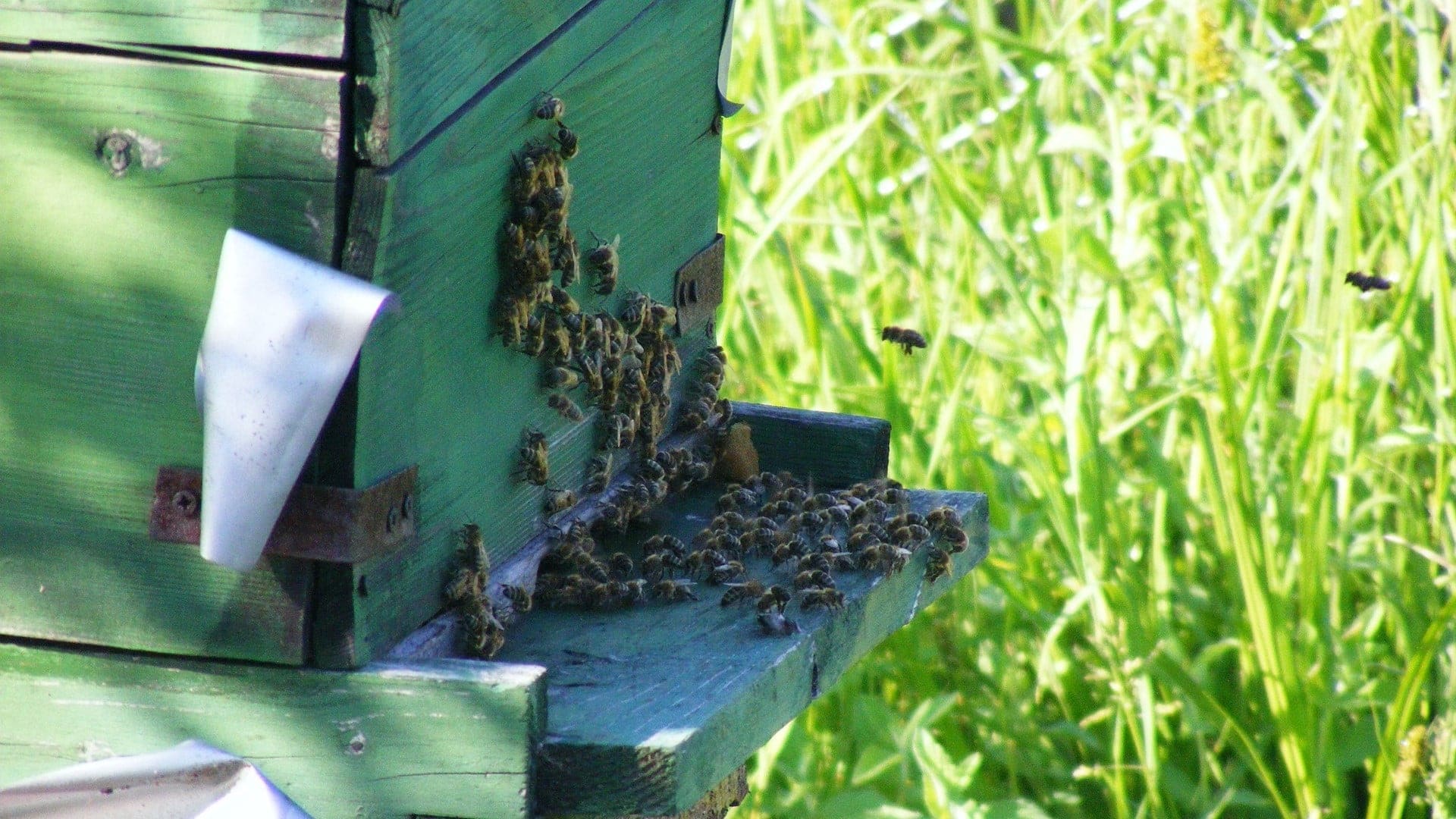 Hotel review What We Love' - The Ritz-Carlton, Berlin - 2