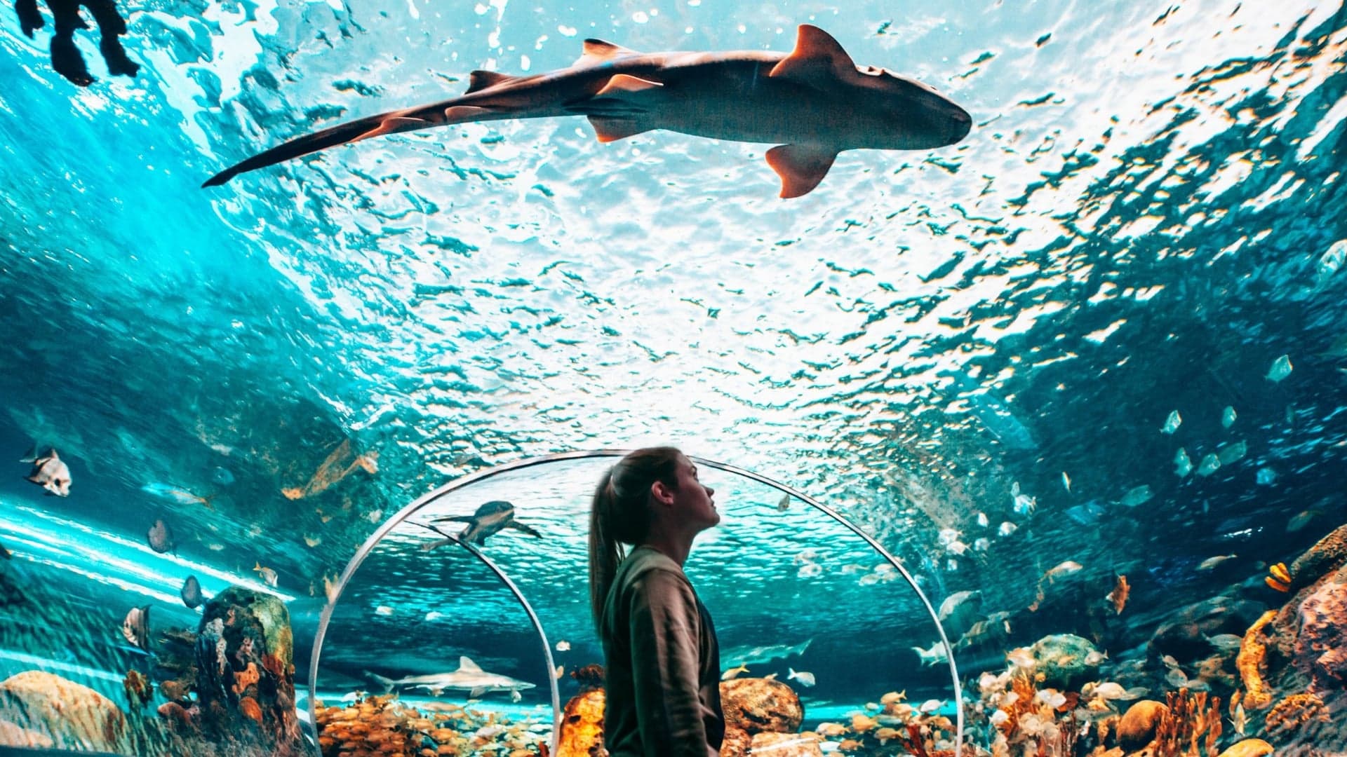 Destinations Articles - Toronto Travel Guide