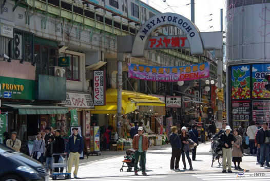 Destination Tokyo – guide för medvetna - 10