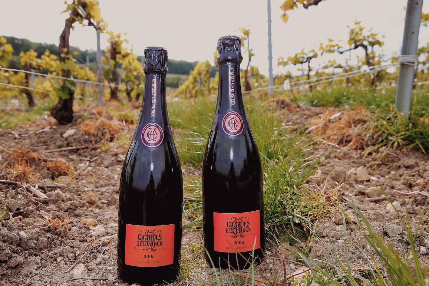 SAS launches a new and exclusive Champagne and beer selection this summer