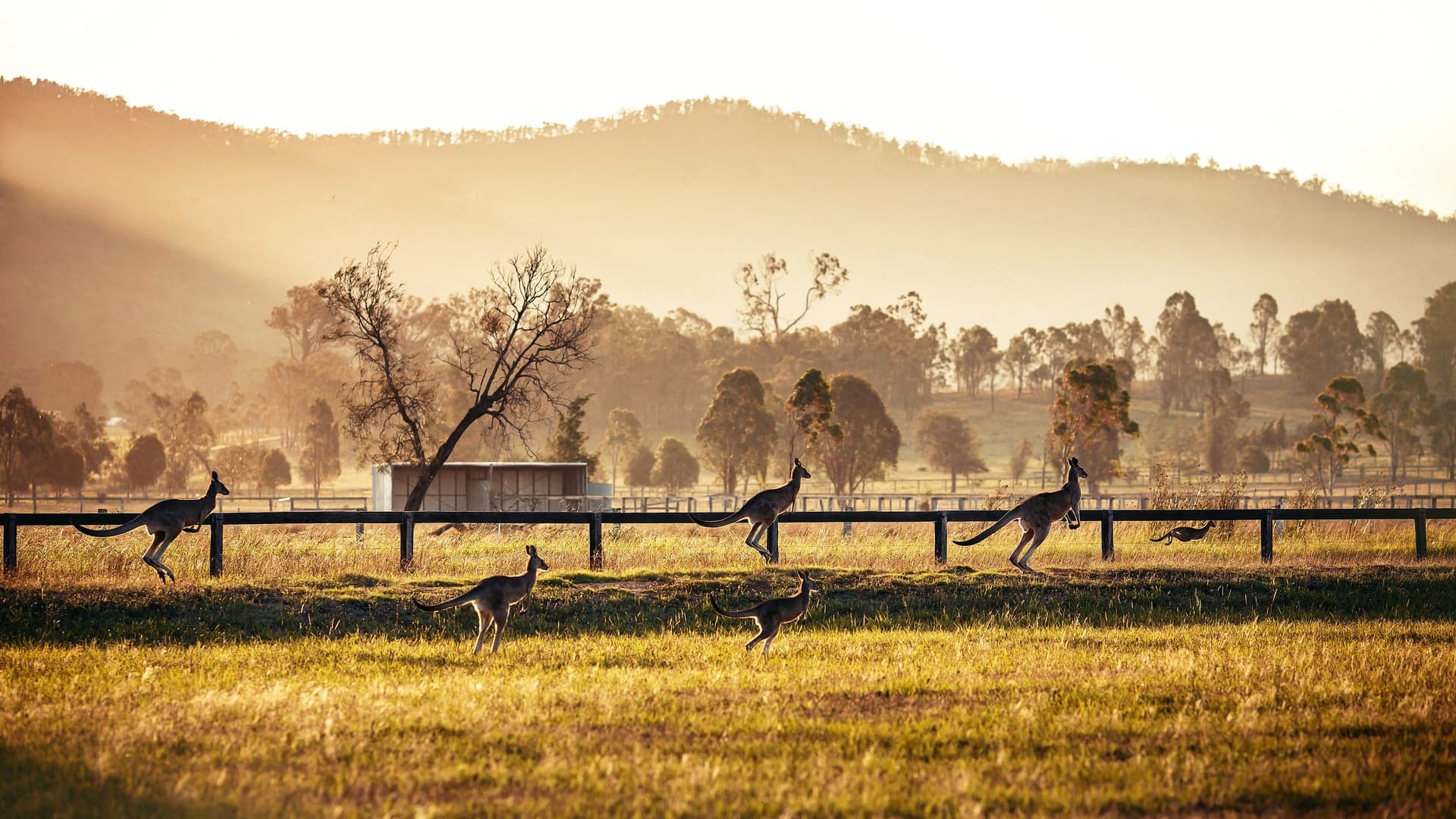 Destinations Articles - Sydney Travel Guide