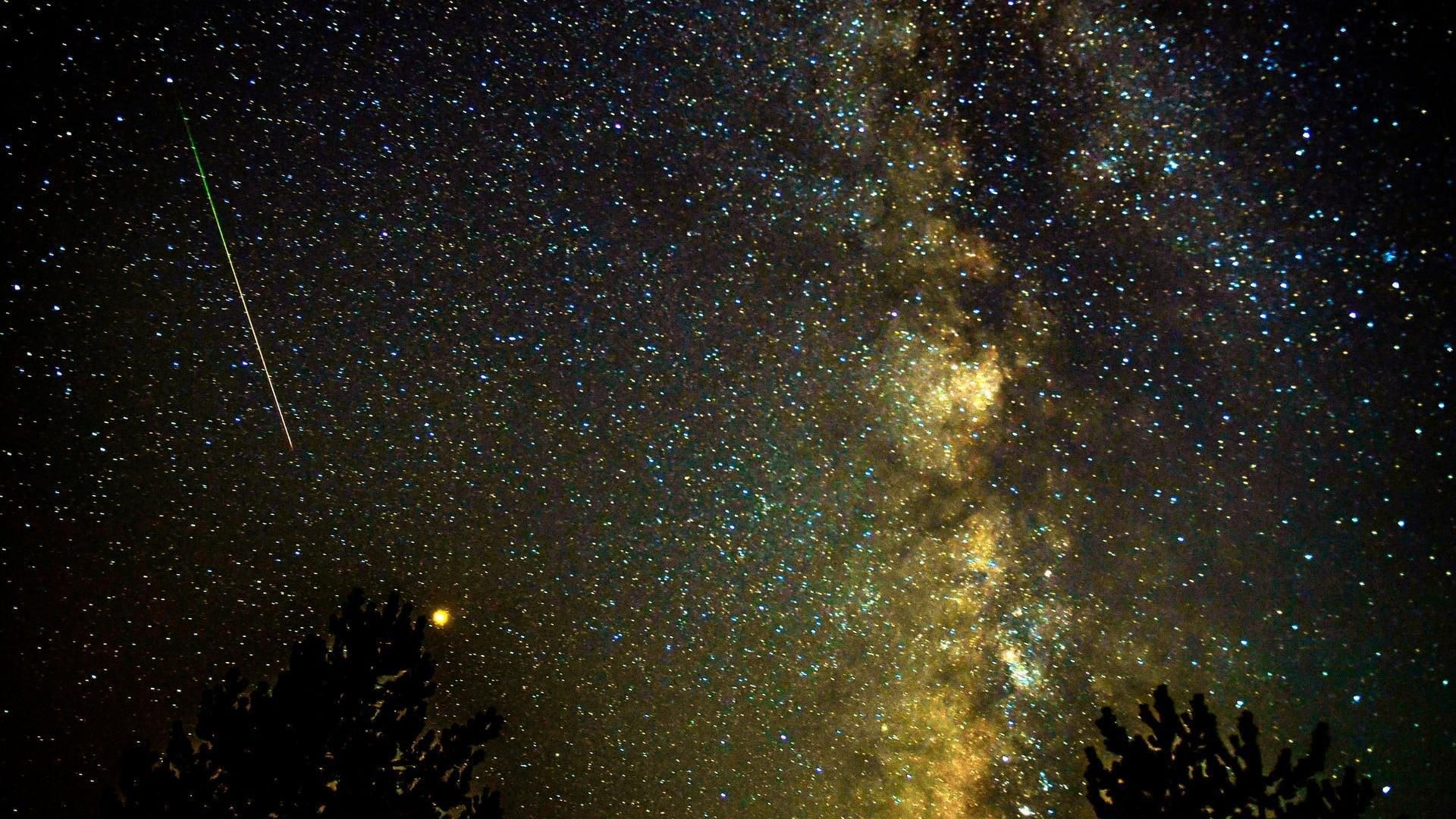 Destinations Toplists - 30 Best Things to See & Do in Dubai