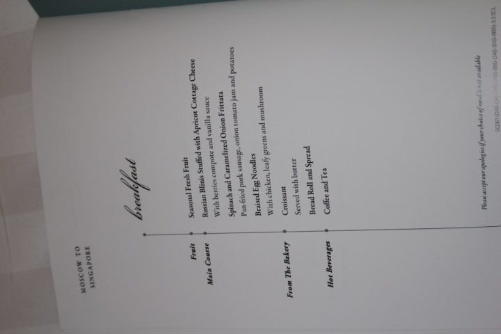 Stockholm to Singapore in Premium Economy with Singapore Airlines - 11