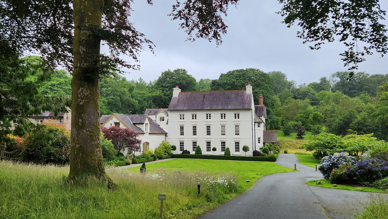 Review of Grove of Narberth