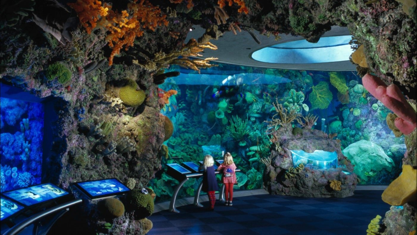 Destinations Articles - Chicago Travel Guide