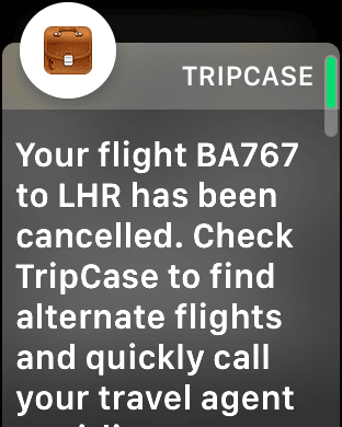 Test: Apple Watch for frekvente rejsende - 10