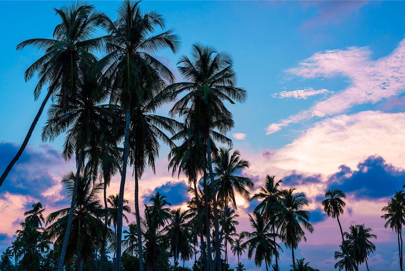 Sun-drenched luxury as Shangri-La opens first Sri Lankan property