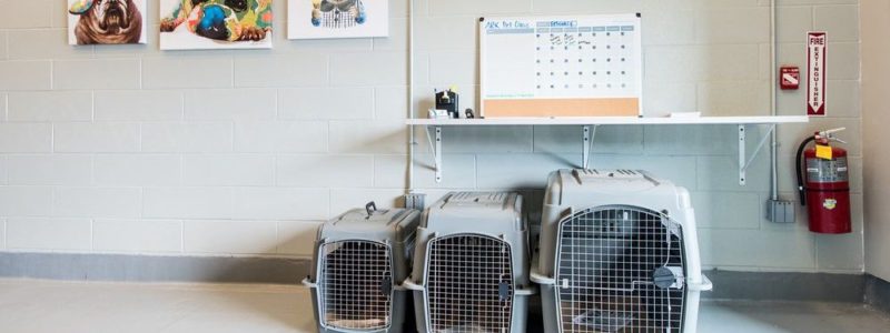 Världens första flygplatsterminal för djur