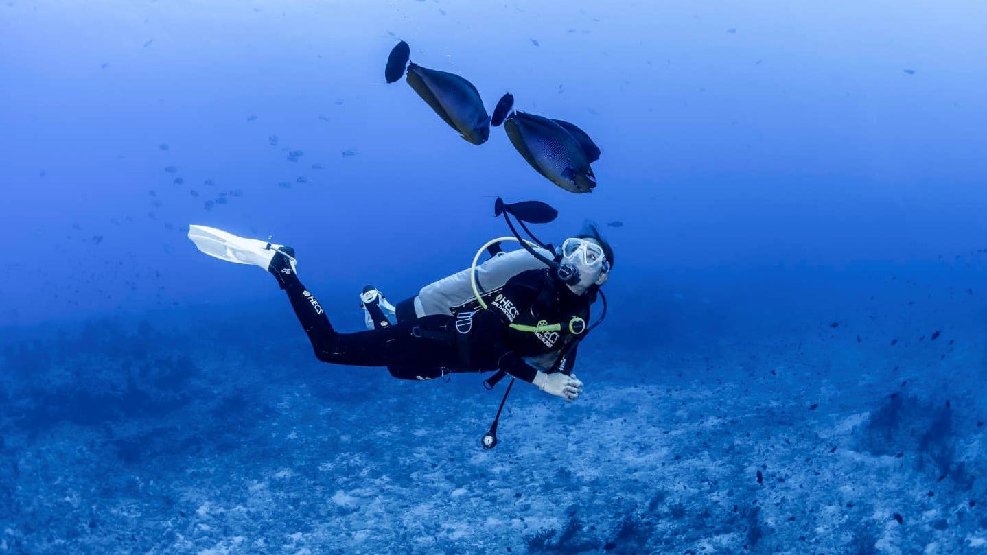 The Best Dive Sites in Maldives - Read the Businessclass review and find the best rates for LUX* South Ari Atoll - 2