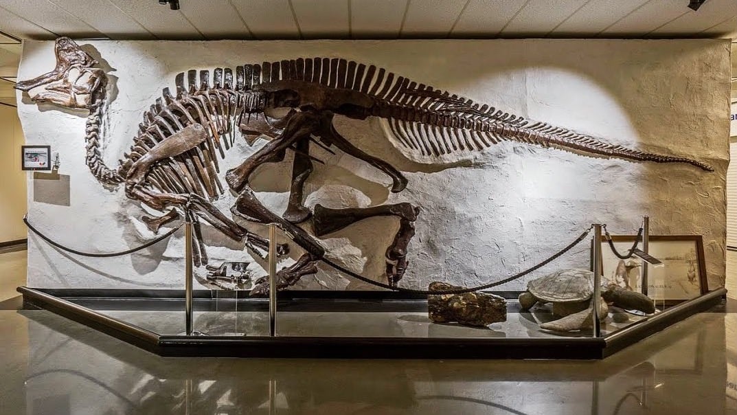 Destinations Articles - Vancouver Travel Guide