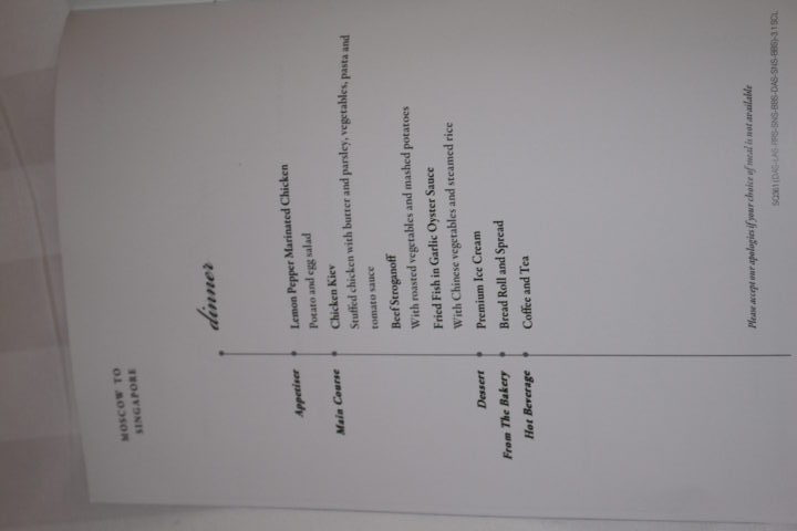 Stockholm to Singapore in Premium Economy with Singapore Airlines - 10