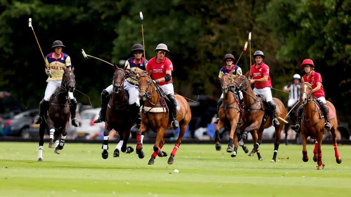 polo match at ham polo club