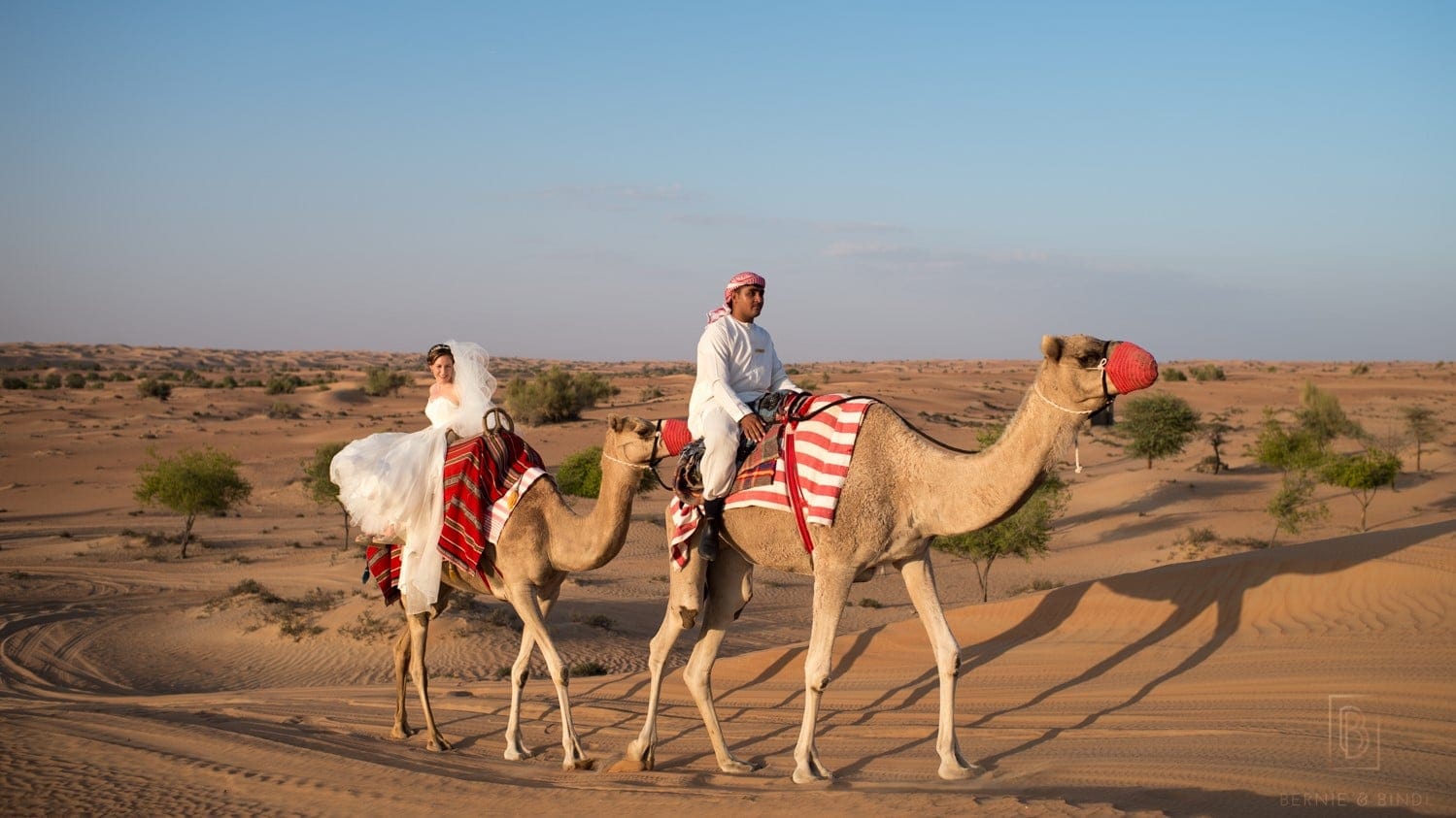 Hotel review Sustainability' - Al Maha a Luxury Collection Desert Resort & Spa Dubai - 2