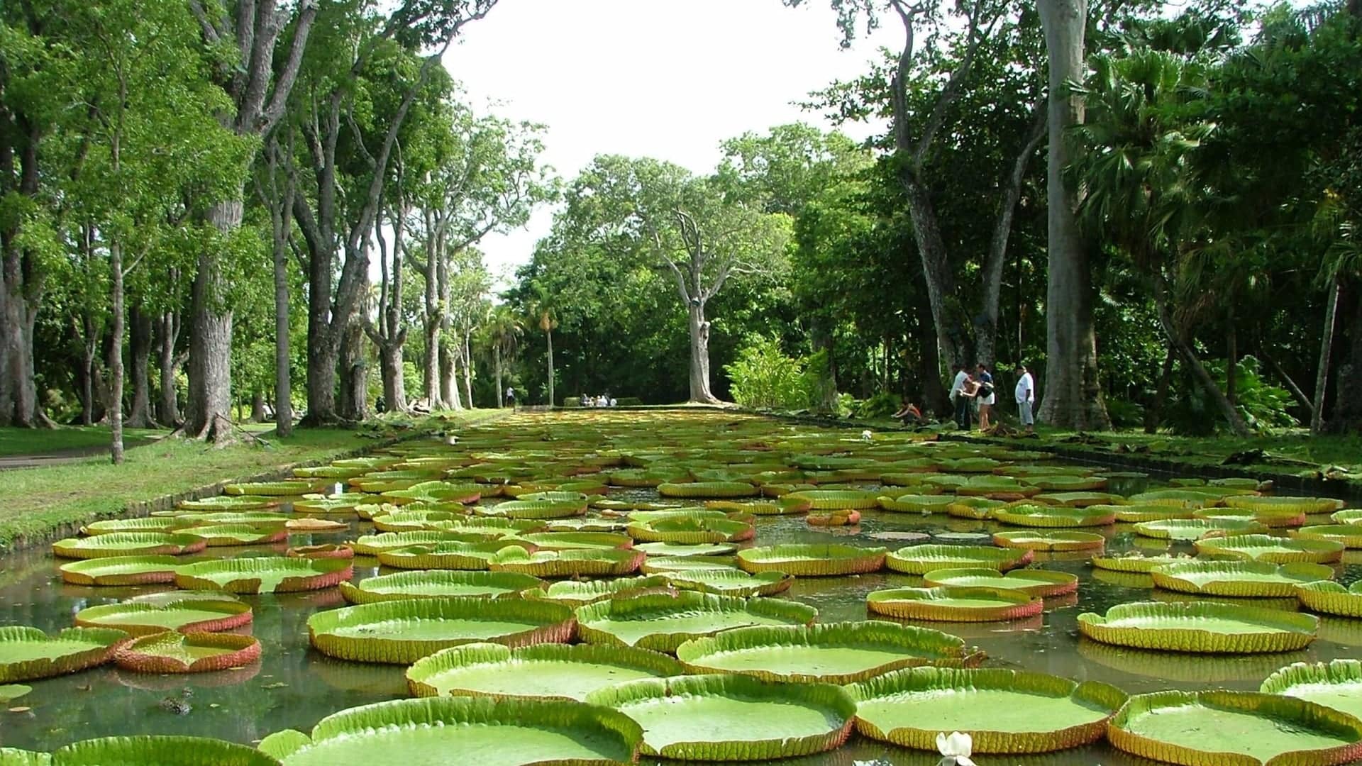 Destinations Articles - Mauritius Travel Guide