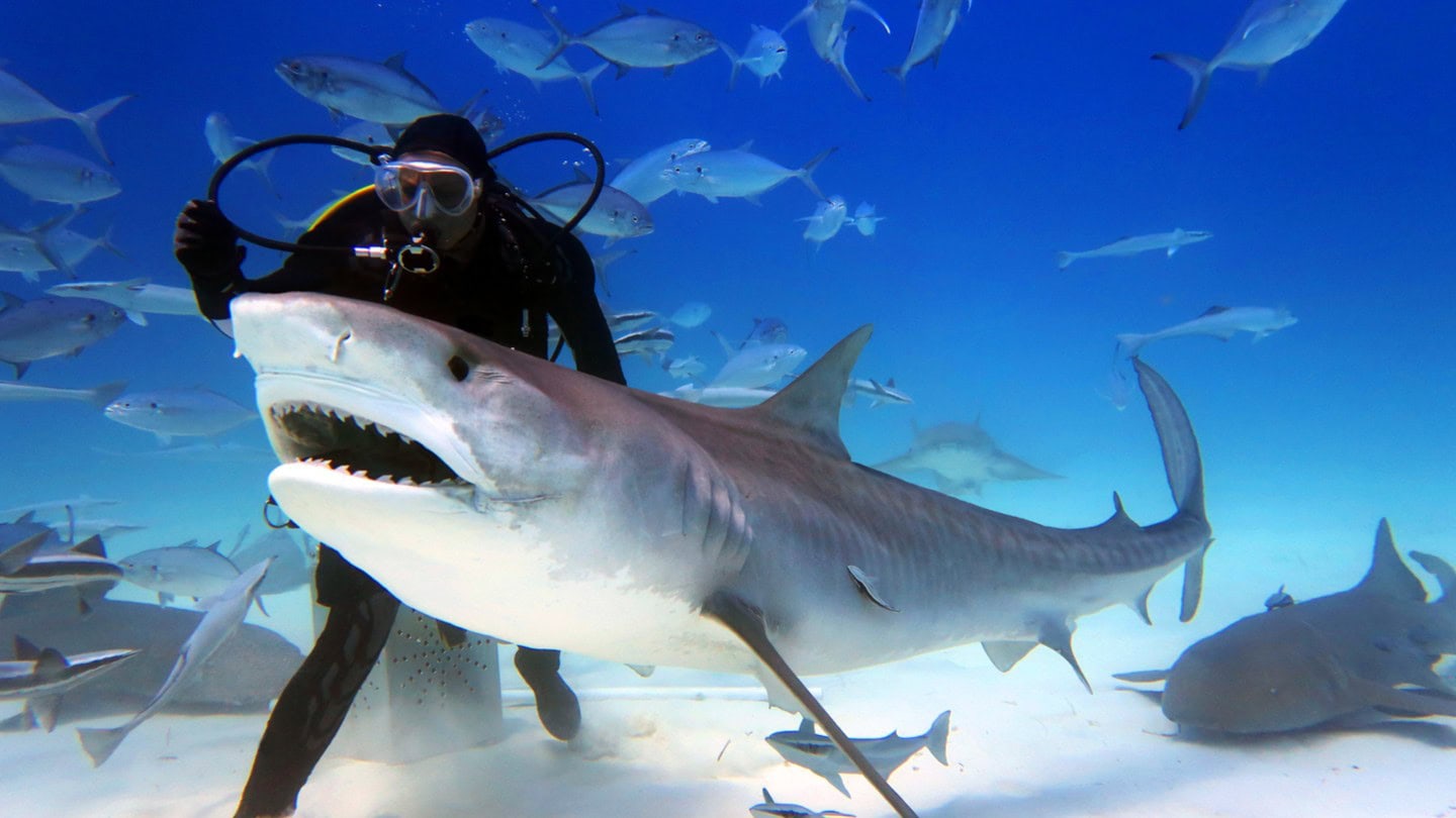 Destinations Toplists - 30 Best Things to See & Do in Dubai