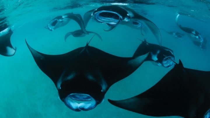 5 unika hotellupplevelser - 1