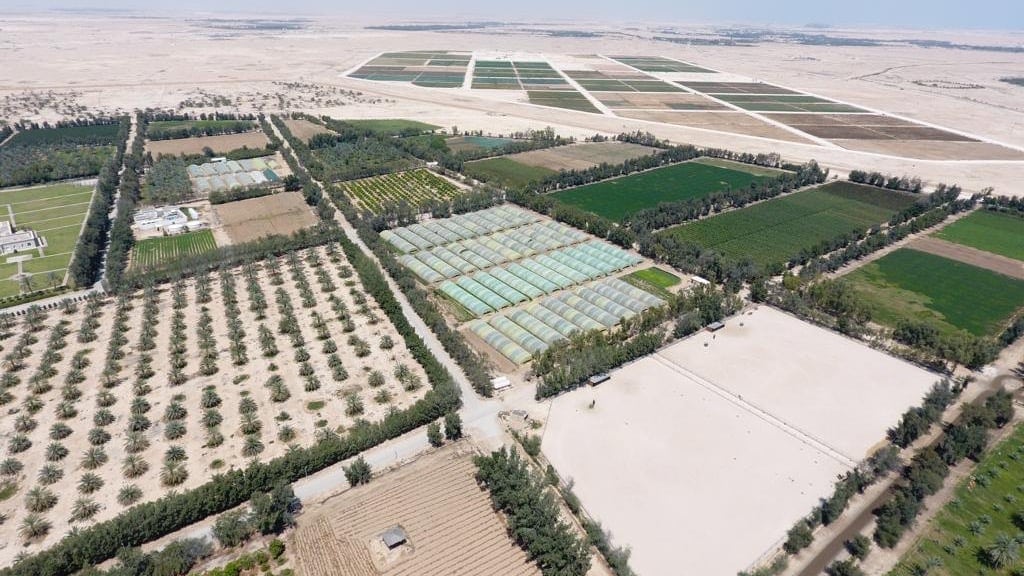 Airline review Sustainability - Qatar Airways - 4