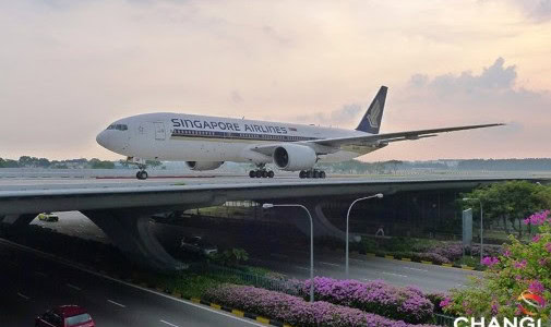 Singapore Airlines og Changi holder fast i populær transitservice