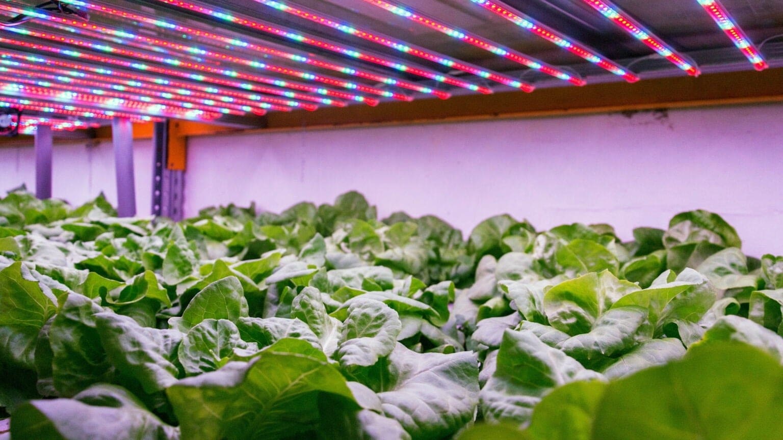 Airline review Sustainability - Singapore Airlines - 3