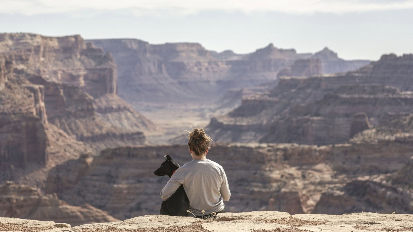 Flying with Pets: A Complete Guide to Pet-Friendly Airlines