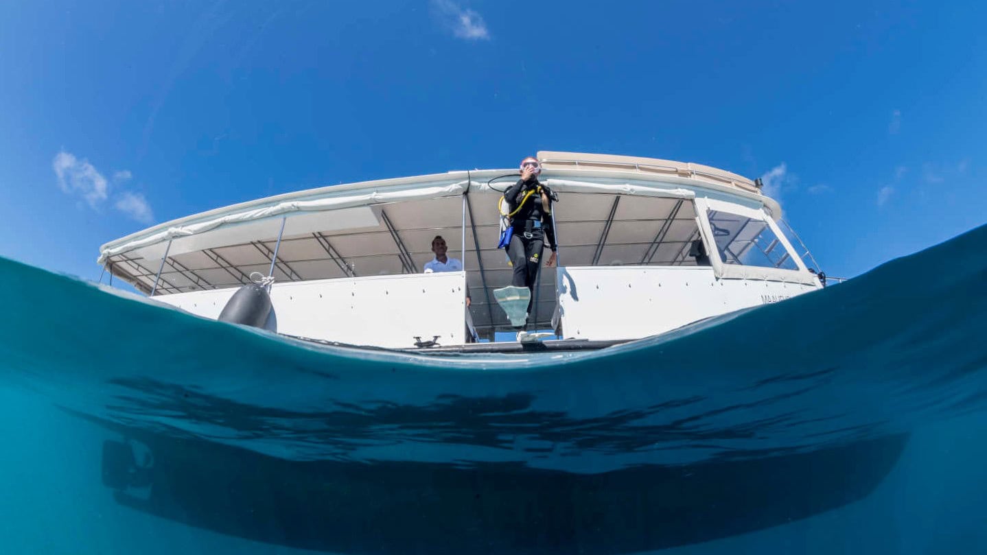 The Best Dive Sites in Maldives
