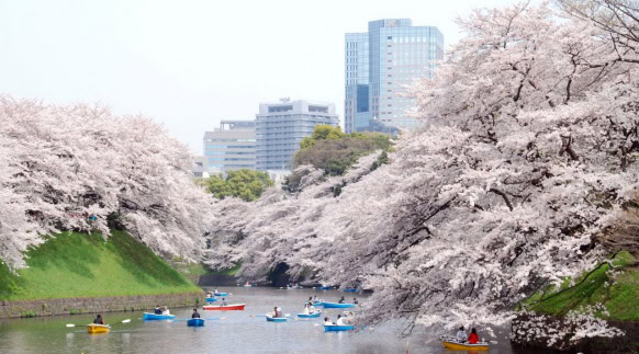 Destination Tokyo – guide för medvetna - 11