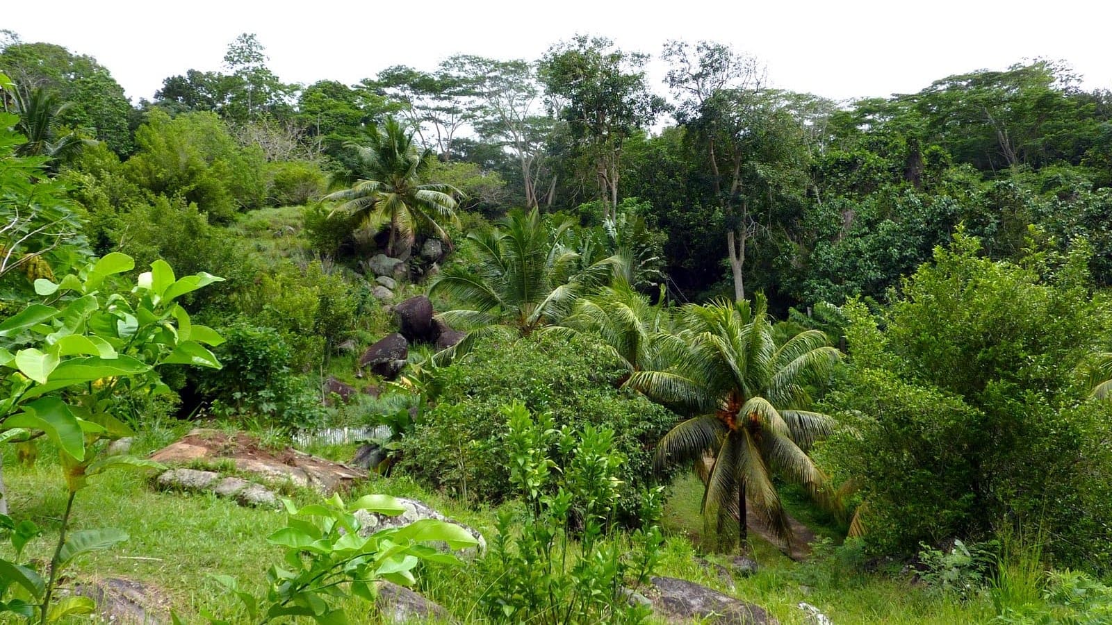 Destinations Articles - Seychelles Travel Guide