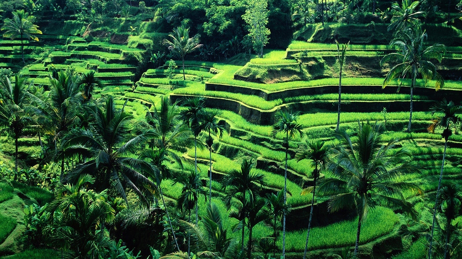Destinations Articles - Bali Travel Guide