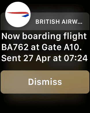 Review: Apple Watch for frequent travellers - My first trip with the Apple Watch - 6