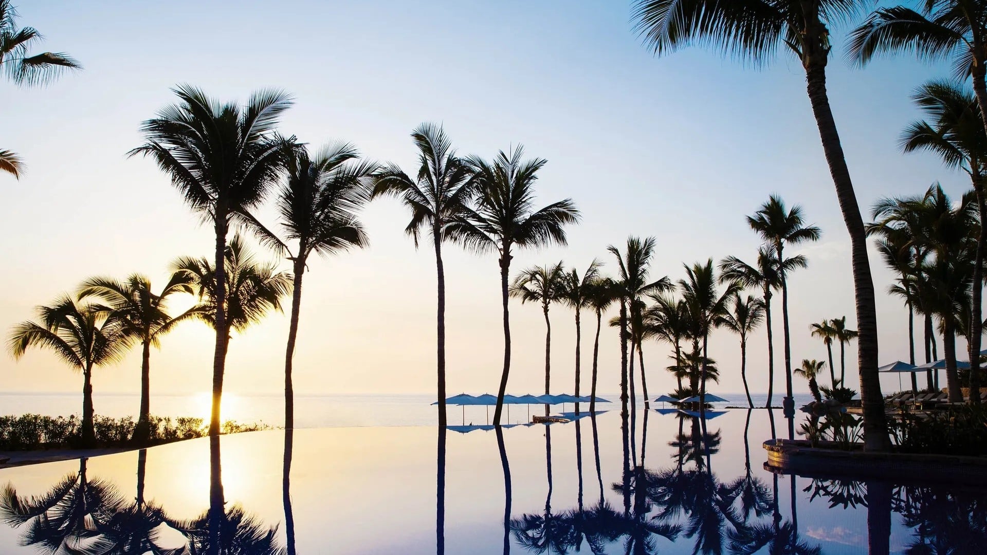 infinity pool at one & only palmilla