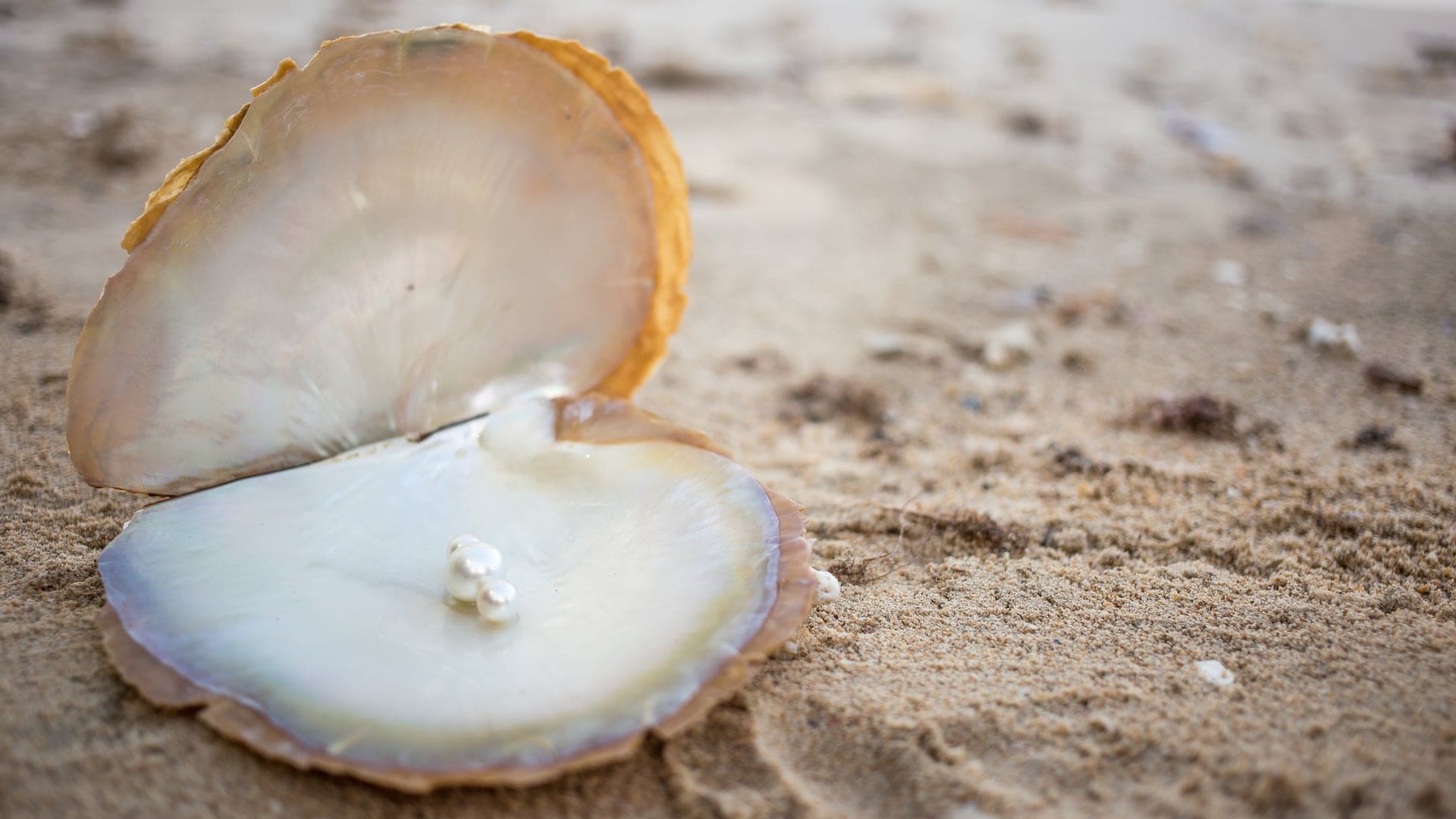 Destinations Articles - Sydney Travel Guide