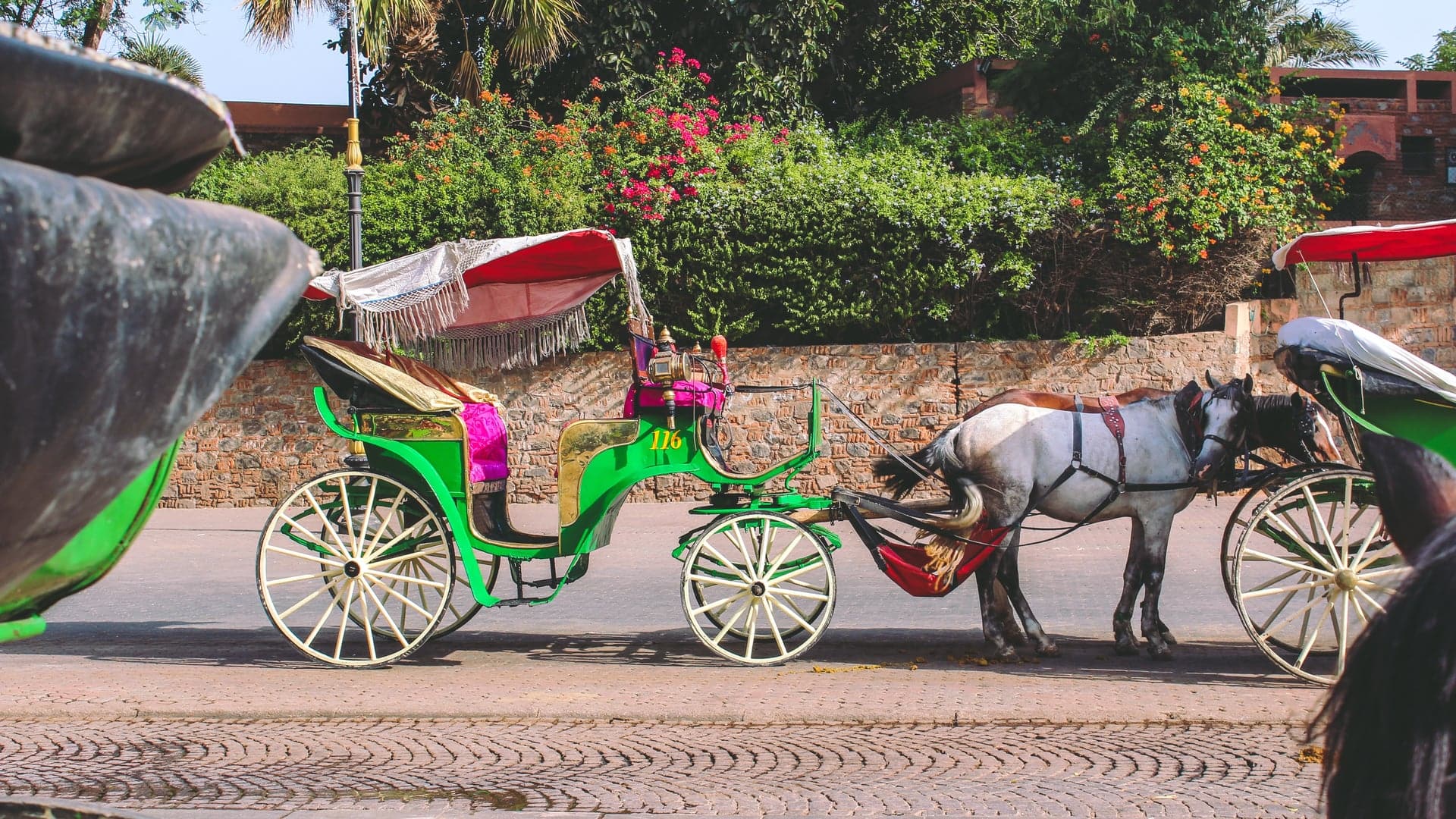 a green horse trolley with white wheels and a brown and white horse in front followed by another green trolley.