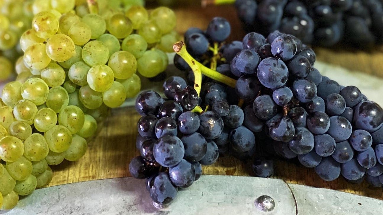 Airlines News - SAS upgrades Champagne offering to “Special Club”