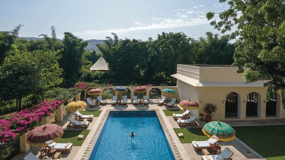 Bird view of pool with sunbeds surrounded by trees and nature