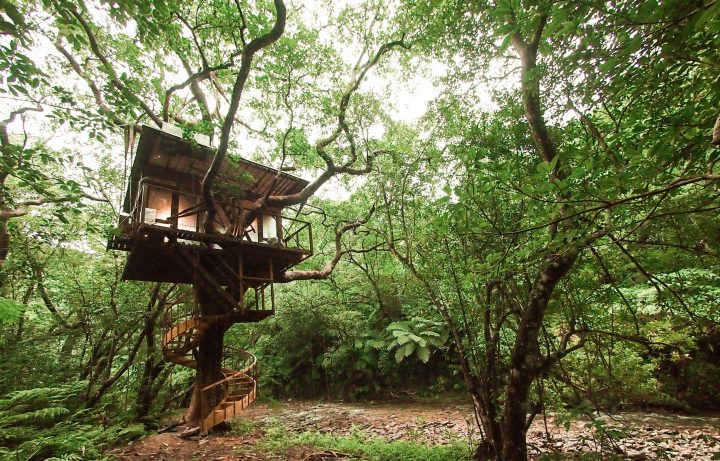 Japan readies itself for an explosion in tourism - 4