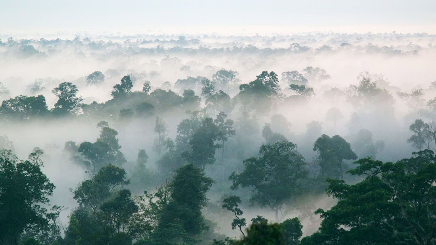 Airline review Sustainability - Singapore Airlines - 1