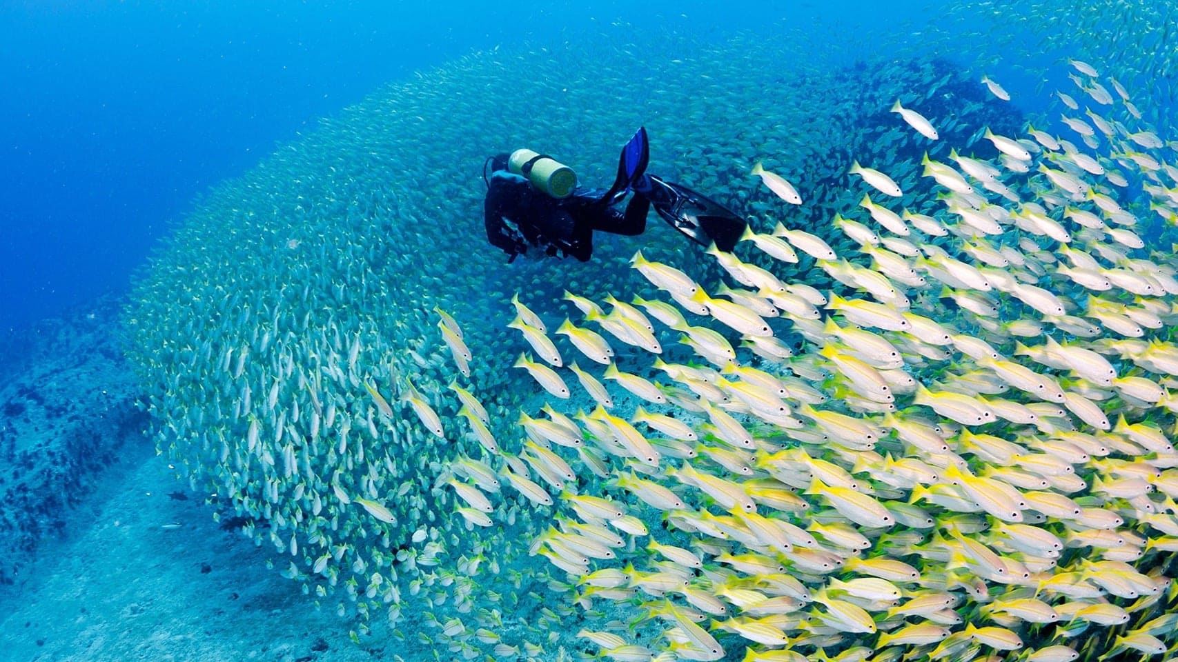 Destinations Articles - Seychelles Travel Guide