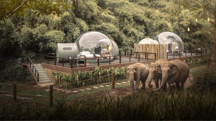 Anantara offers a unique virtual educational field trip featuring elephants - 1