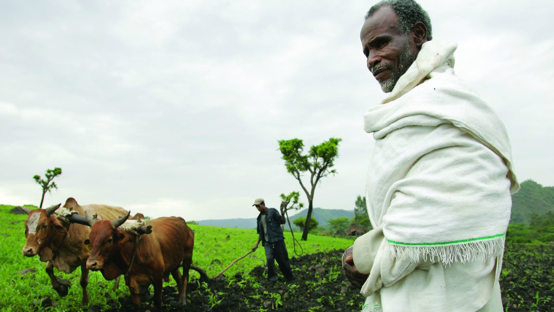 Airline review Sustainability - Ethiopian Airlines - 2