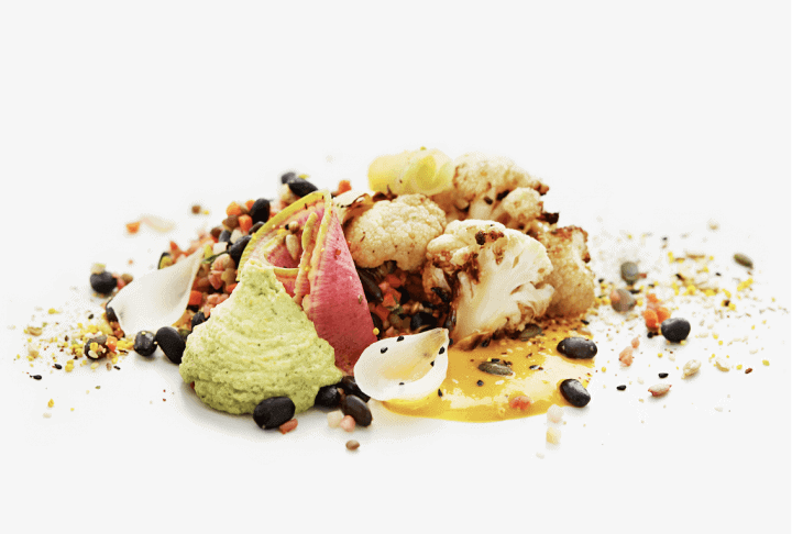 New Nordic by SAS serves up to two vegetarian menus