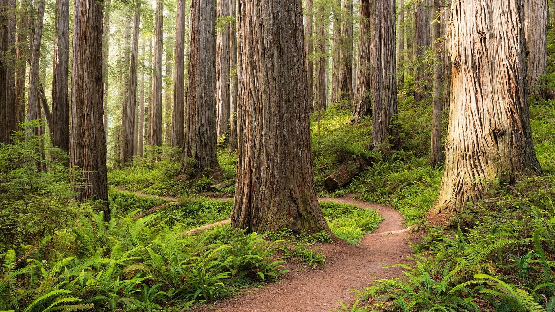 Destinations Articles - Hawaii Travel Guide