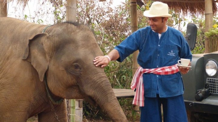 Anantara offers a unique virtual educational field trip featuring elephants - 3