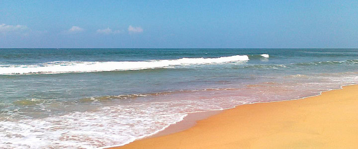 Globala resetrender inför 2017