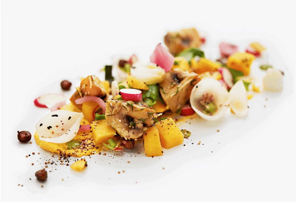 New Nordic by SAS serves up to two vegetarian menus