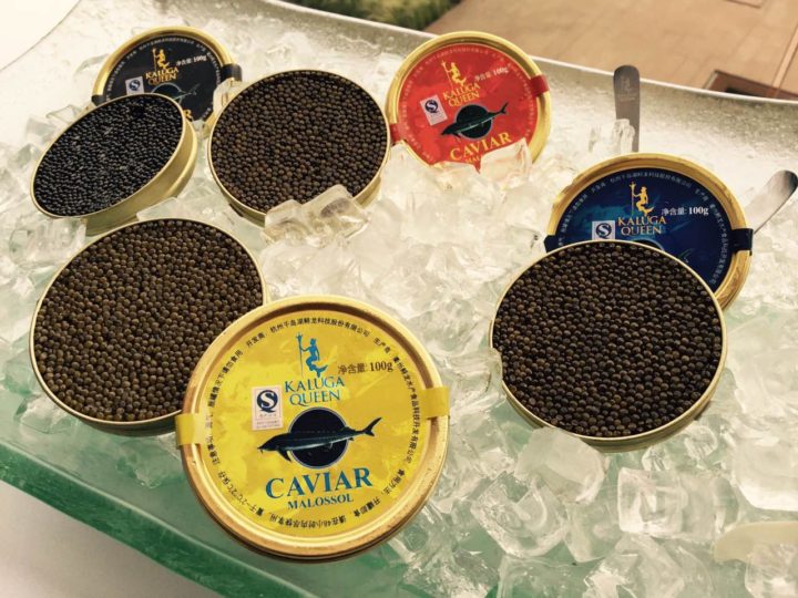 Champagne og kaviar - luksus i luften - 1